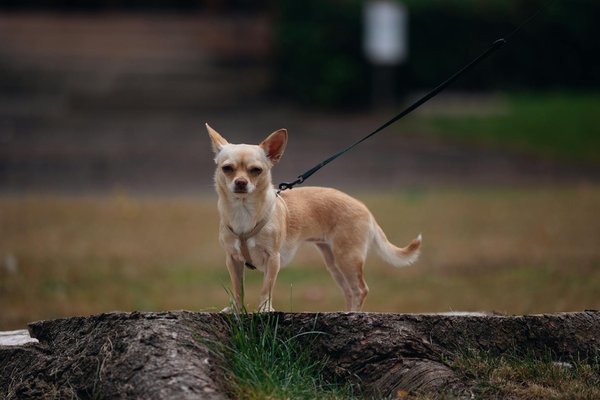 L'importance de l'hygiène en milieu de travail
